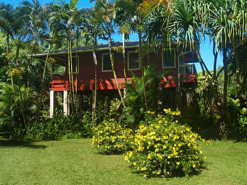 View of the River House with lush foliage.