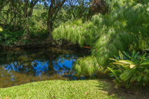 Kauai Vacation Rentals