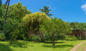 Kauai Vacation Rentals