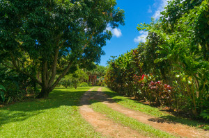 Kauai Vacation Rentals