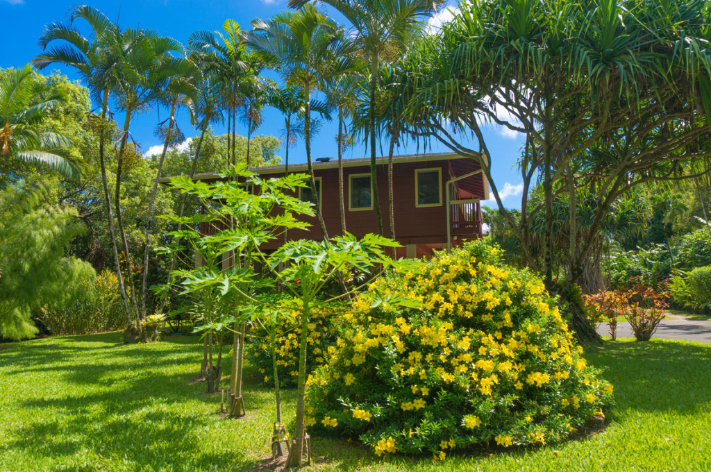 Kauai Green Getaway Dress