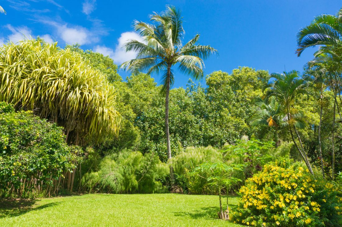 Kauai Vacation Rentals