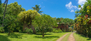 Kauai Vacation Rentals